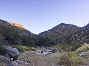 Running up the wash of the Wild Burro Trail