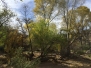 AZ Trail - Colossal Cave